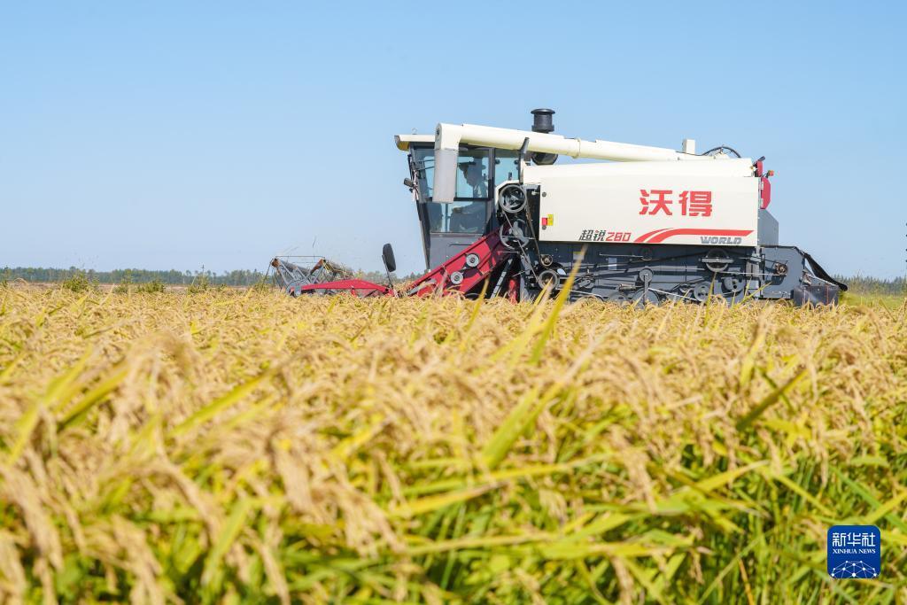 254娱乐